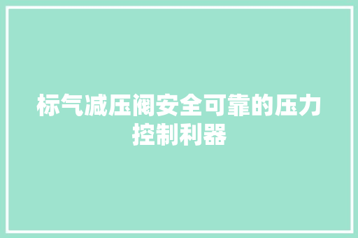 标气减压阀安全可靠的压力控制利器