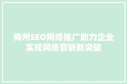 梅州SEO网络推广助力企业实现网络营销新突破
