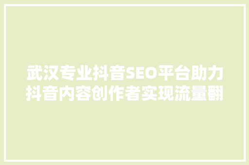 武汉专业抖音SEO平台助力抖音内容创作者实现流量翻倍 神马SEO