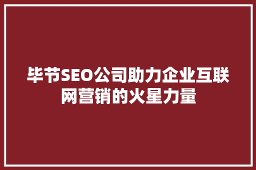 毕节SEO公司助力企业互联网营销的火星力量