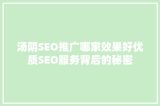 汤阴SEO推广哪家效果好优质SEO服务背后的秘密 GoogleSEO