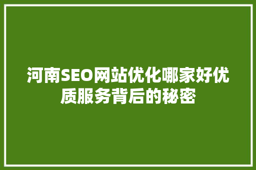 河南SEO网站优化哪家好优质服务背后的秘密 必应SEO