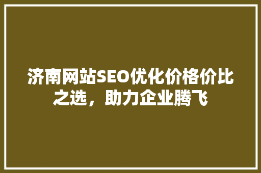 济南网站SEO优化价格价比之选，助力企业腾飞 必应SEO