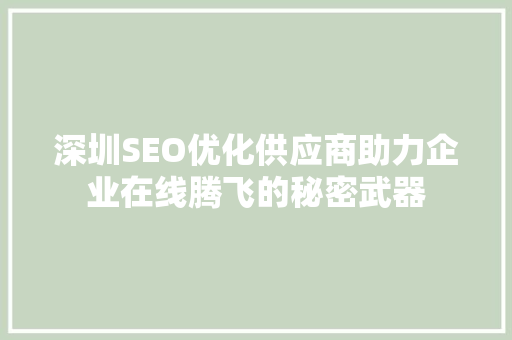 深圳SEO优化供应商助力企业在线腾飞的秘密武器 GoogleSEO