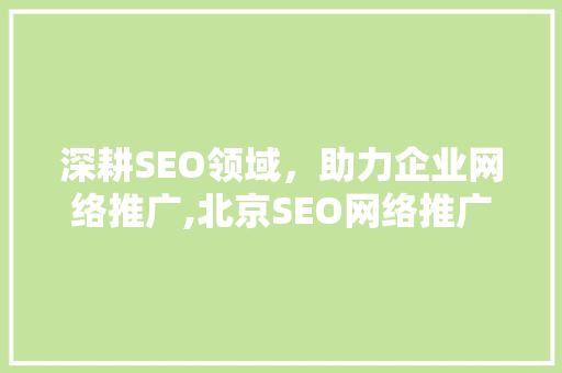 深耕SEO领域，助力企业网络推广,北京SEO网络推广公司详细 神马SEO