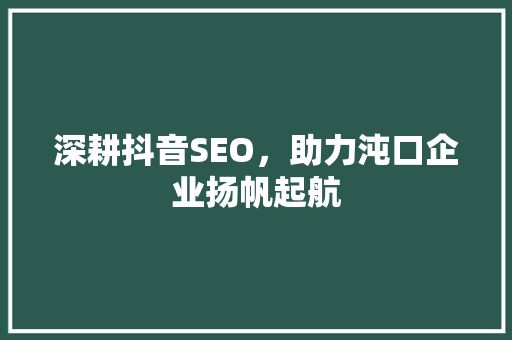 深耕抖音SEO，助力沌口企业扬帆起航 搜狗SEO
