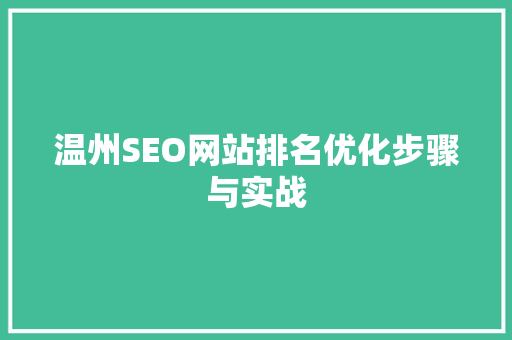 温州SEO网站排名优化步骤与实战 GoogleSEO
