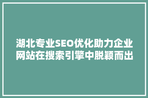湖北专业SEO优化助力企业网站在搜索引擎中脱颖而出 GoogleSEO