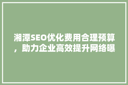 湘潭SEO优化费用合理预算，助力企业高效提升网络曝光 百度SEO