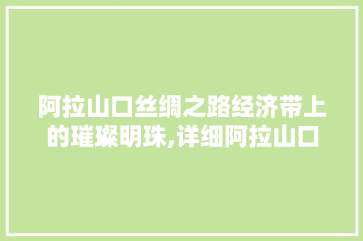 阿拉山口丝绸之路经济带上的璀璨明珠,详细阿拉山口网站SEO优化步骤