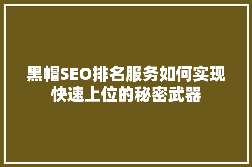 黑帽SEO排名服务如何实现快速上位的秘密武器 必应SEO