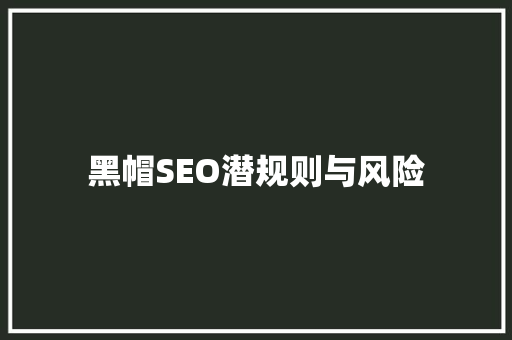 黑帽SEO潜规则与风险 百度SEO