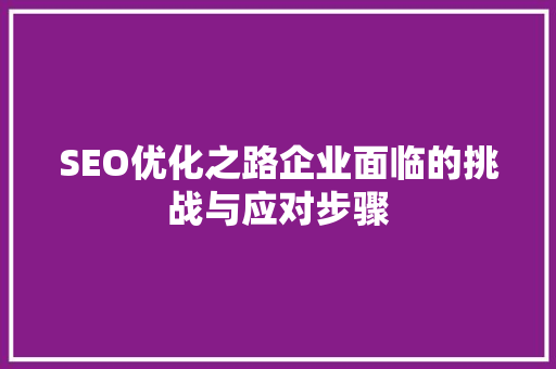 SEO优化之路企业面临的挑战与应对步骤 神马SEO