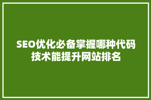 SEO优化必备掌握哪种代码技术能提升网站排名