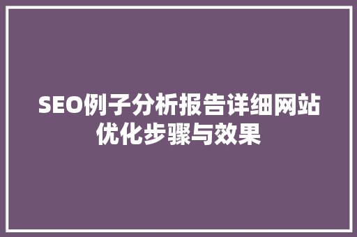 SEO例子分析报告详细网站优化步骤与效果 GoogleSEO