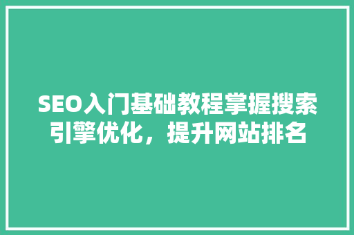 SEO入门基础教程掌握搜索引擎优化，提升网站排名 GoogleSEO