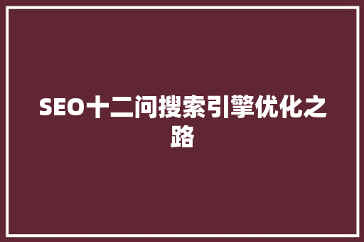 SEO十二问搜索引擎优化之路 搜狗SEO
