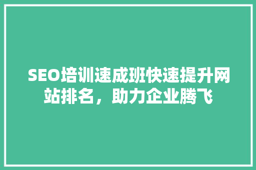 SEO培训速成班快速提升网站排名，助力企业腾飞 百度SEO