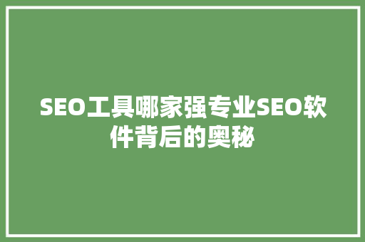 SEO工具哪家强专业SEO软件背后的奥秘 必应SEO