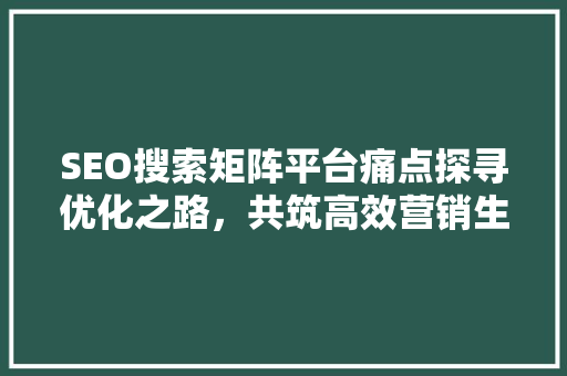 SEO搜索矩阵平台痛点探寻优化之路，共筑高效营销生态 必应SEO