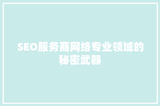SEO服务商网络专业领域的秘密武器