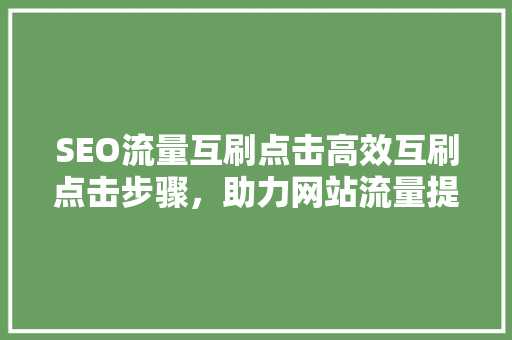 SEO流量互刷点击高效互刷点击步骤，助力网站流量提升 神马SEO