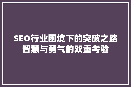 SEO行业困境下的突破之路智慧与勇气的双重考验 神马SEO