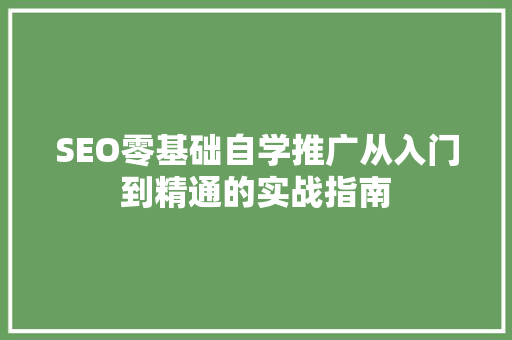 SEO零基础自学推广从入门到精通的实战指南 神马SEO
