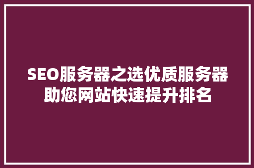 SEO服务器之选优质服务器助您网站快速提升排名 百度SEO