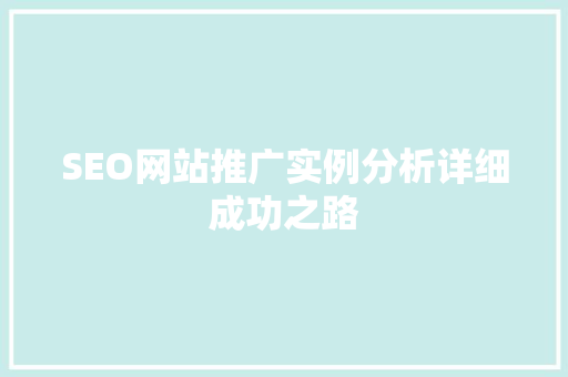 SEO网站推广实例分析详细成功之路