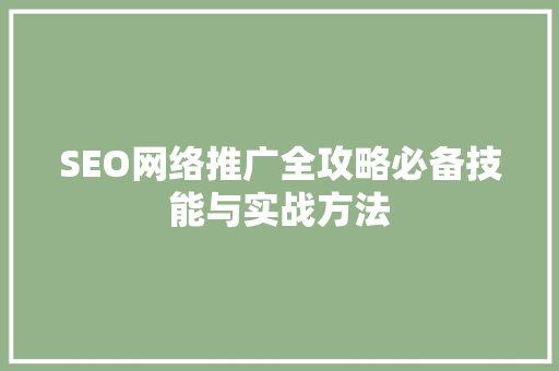 SEO网络推广全攻略必备技能与实战方法 GoogleSEO
