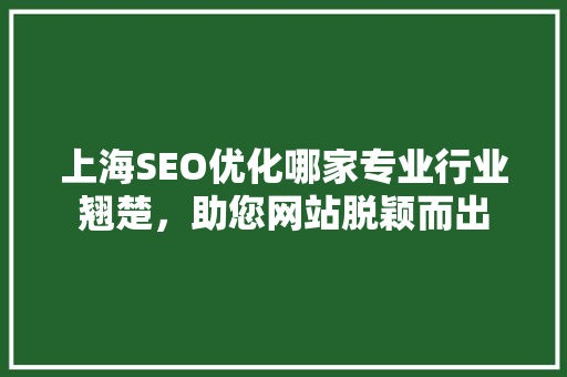上海SEO优化哪家专业行业翘楚，助您网站脱颖而出 必应SEO