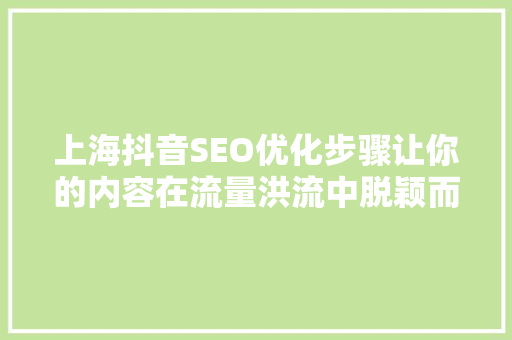 上海抖音SEO优化步骤让你的内容在流量洪流中脱颖而出 必应SEO