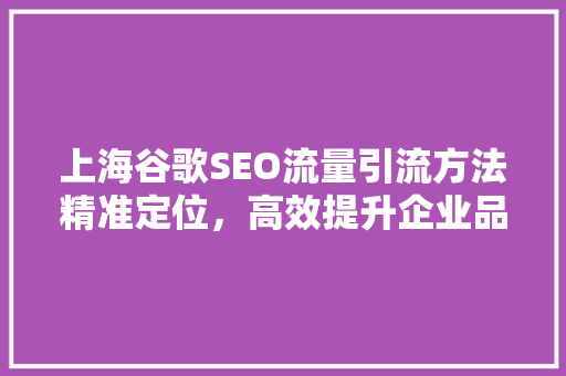上海谷歌SEO流量引流方法精准定位，高效提升企业品牌影响力 必应SEO