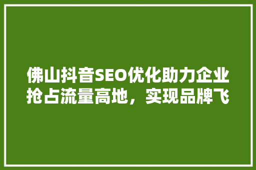佛山抖音SEO优化助力企业抢占流量高地，实现品牌飞跃