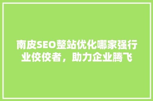 南皮SEO整站优化哪家强行业佼佼者，助力企业腾飞