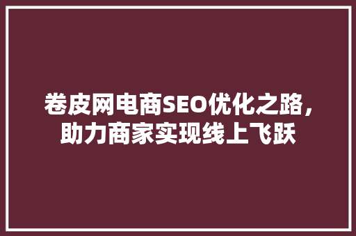 卷皮网电商SEO优化之路，助力商家实现线上飞跃 百度SEO