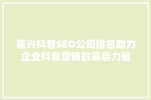 嘉兴抖音SEO公司排名助力企业抖音营销的幕后力量 GoogleSEO