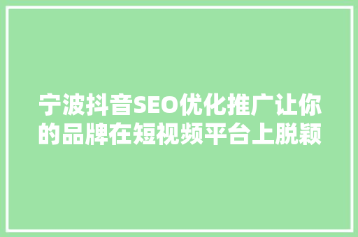 宁波抖音SEO优化推广让你的品牌在短视频平台上脱颖而出 神马SEO