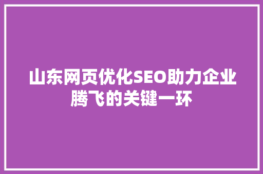 山东网页优化SEO助力企业腾飞的关键一环 百度SEO