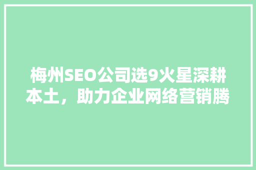 梅州SEO公司选9火星深耕本土，助力企业网络营销腾飞 必应SEO