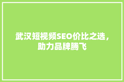 武汉短视频SEO价比之选，助力品牌腾飞 GoogleSEO