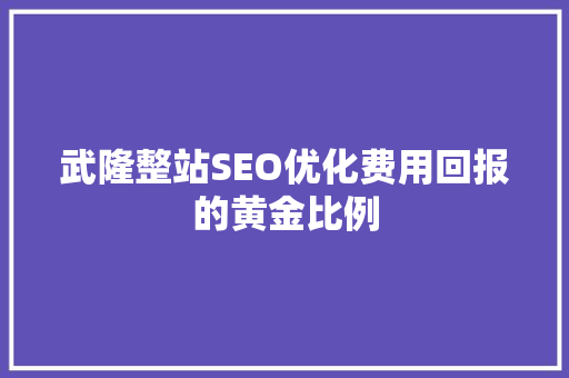 武隆整站SEO优化费用回报的黄金比例 GoogleSEO