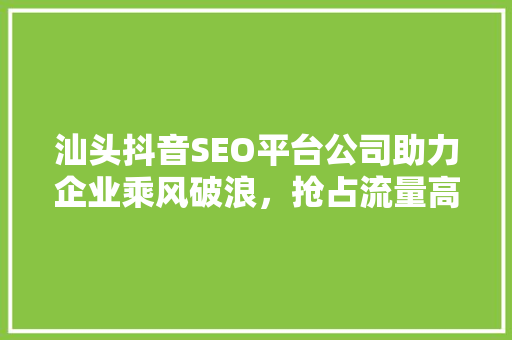 汕头抖音SEO平台公司助力企业乘风破浪，抢占流量高地 百度SEO