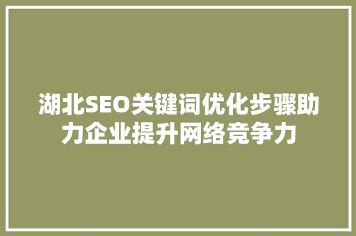 湖北SEO关键词优化步骤助力企业提升网络竞争力 必应SEO