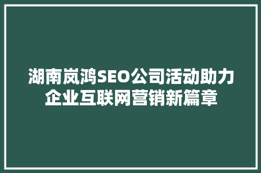 湖南岚鸿SEO公司活动助力企业互联网营销新篇章 GoogleSEO
