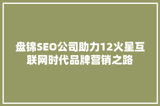 盘锦SEO公司助力12火星互联网时代品牌营销之路 GoogleSEO