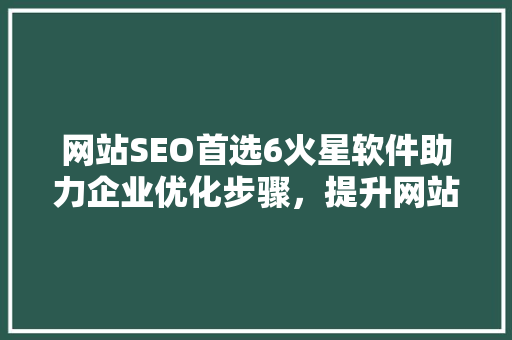 网站SEO首选6火星软件助力企业优化步骤，提升网站流量与转化率
