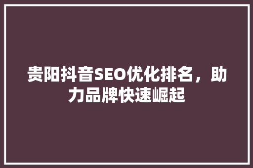 贵阳抖音SEO优化排名，助力品牌快速崛起 GoogleSEO