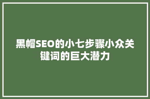 黑帽SEO的小七步骤小众关键词的巨大潜力 搜狗SEO